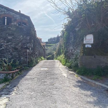 Ca Teodoi Daire Cenova Dış mekan fotoğraf